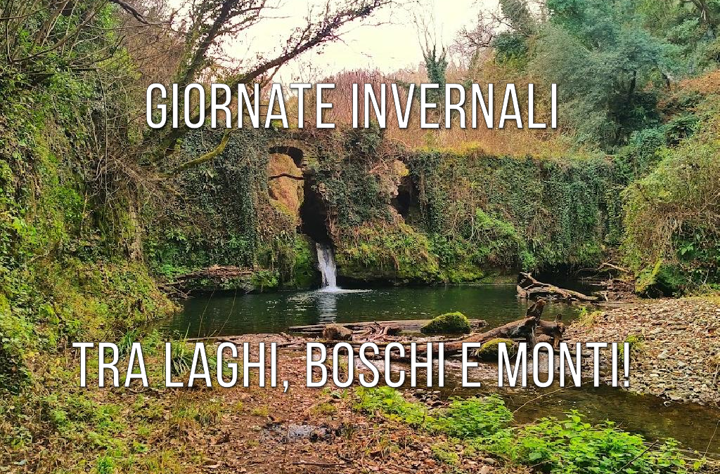 Giornate invernali tra laghi, boschi e monti!