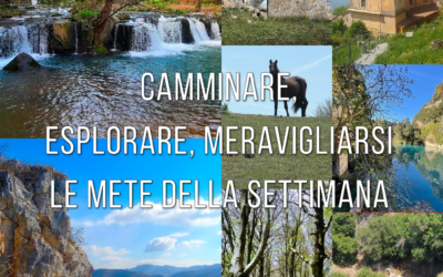 Camminare, esplorare, meravigliarsi: le mete della settimana