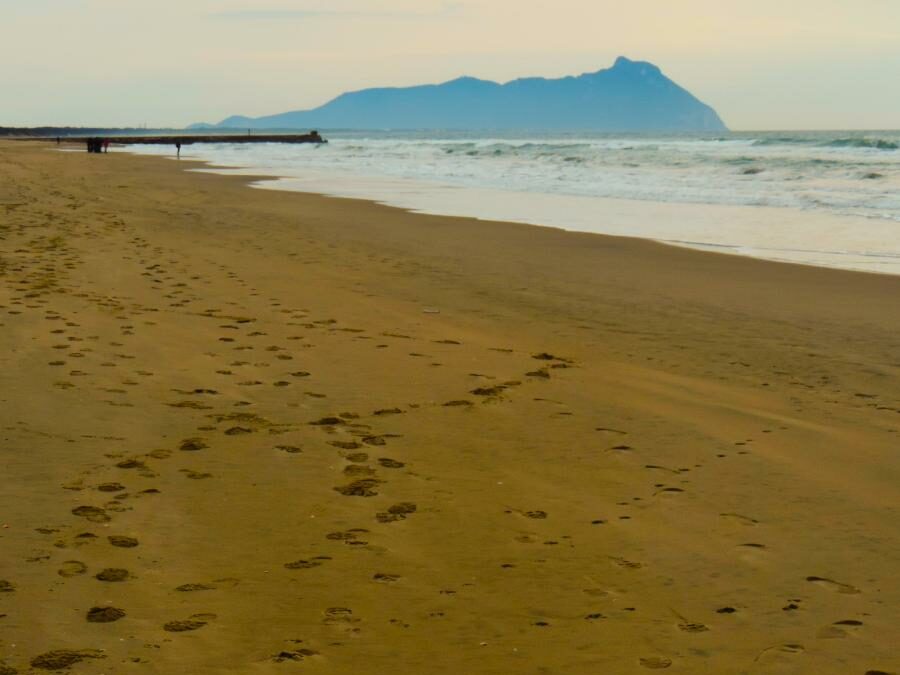 Birdwatching al Parco Nazionale del Circeo – 2 febbraio 2025