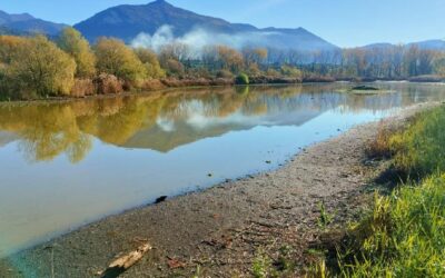 Birdwatching all’Oasi di Pantanello e all’Antica Norba – 30 marzo 2025