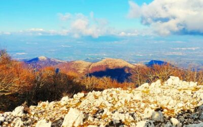 Monte Lupone: il Cuore Verde e Selvaggio dei Lepini – 22 marzo 2025