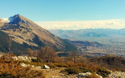 Birdwatching ai piedi del Monte Velino – 13 aprile 2025