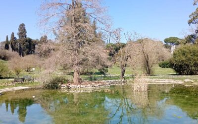 Alla scoperta del Parco di Villa Doria Pamphili – 13 aprile 2025