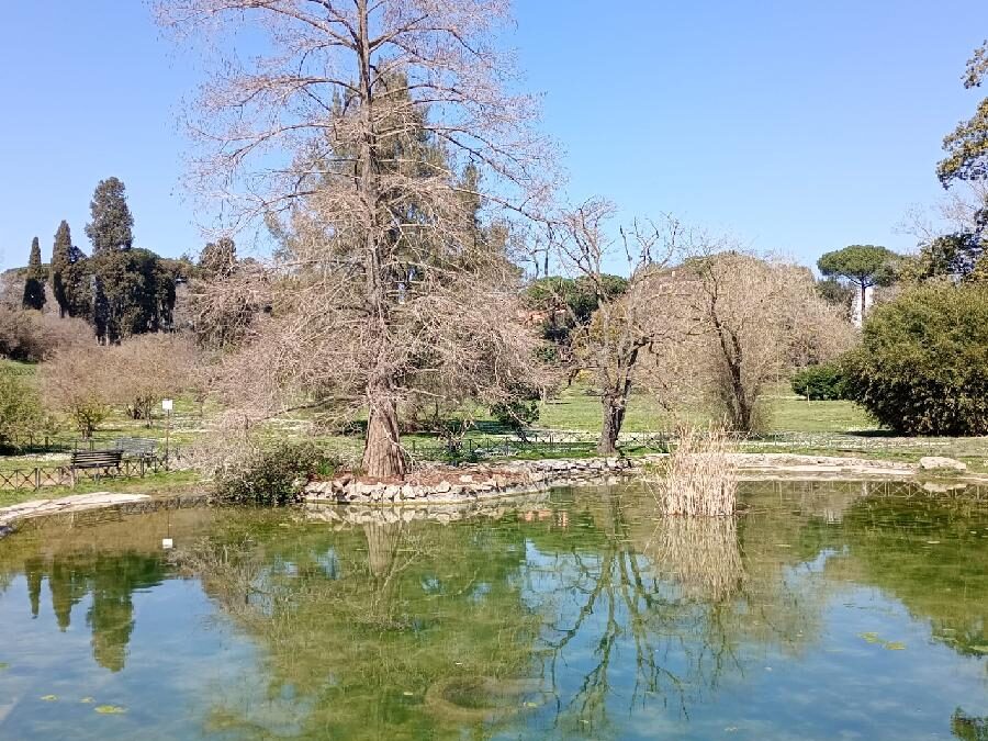 Alla scoperta del Parco di Villa Doria Pamphili – 13 aprile 2025